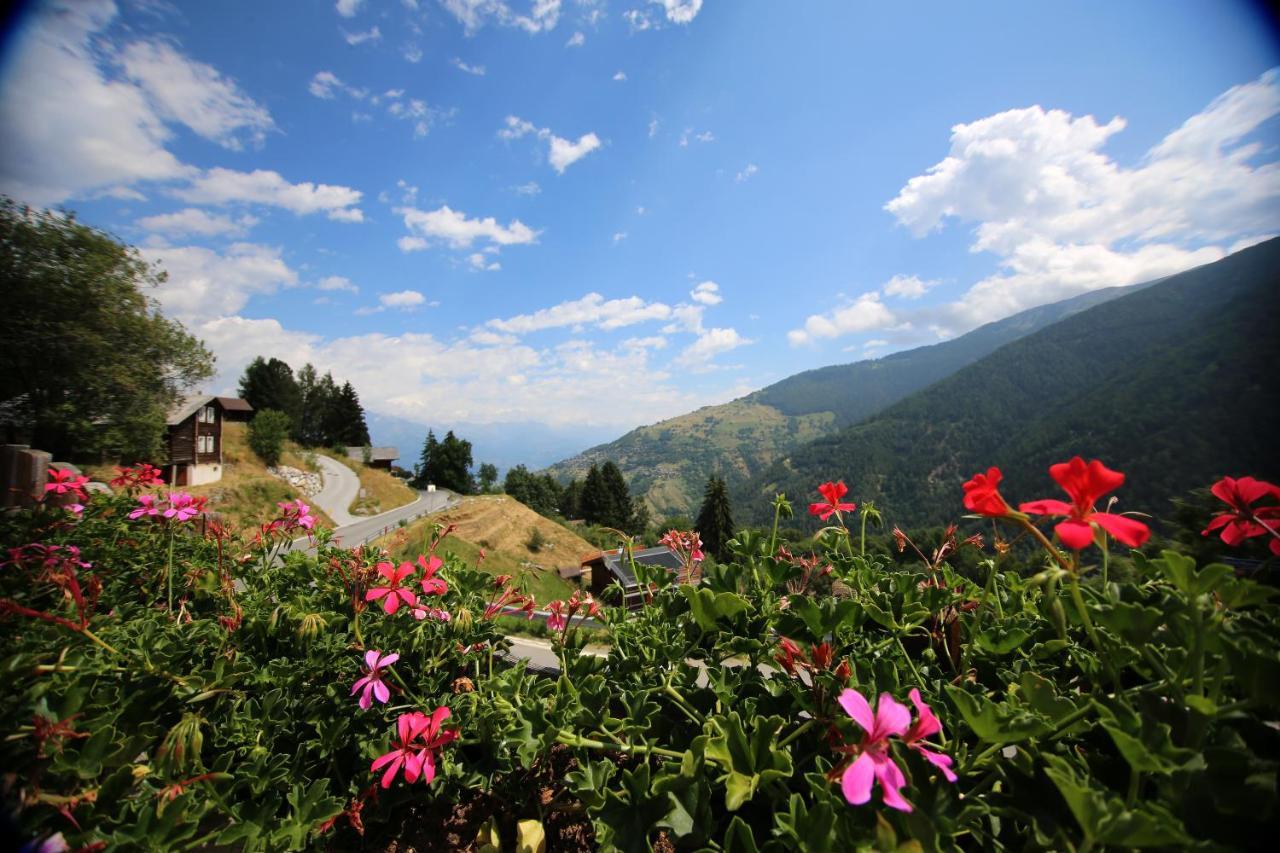 Bed and Breakfast Bleusydyllique Нанда Екстер'єр фото
